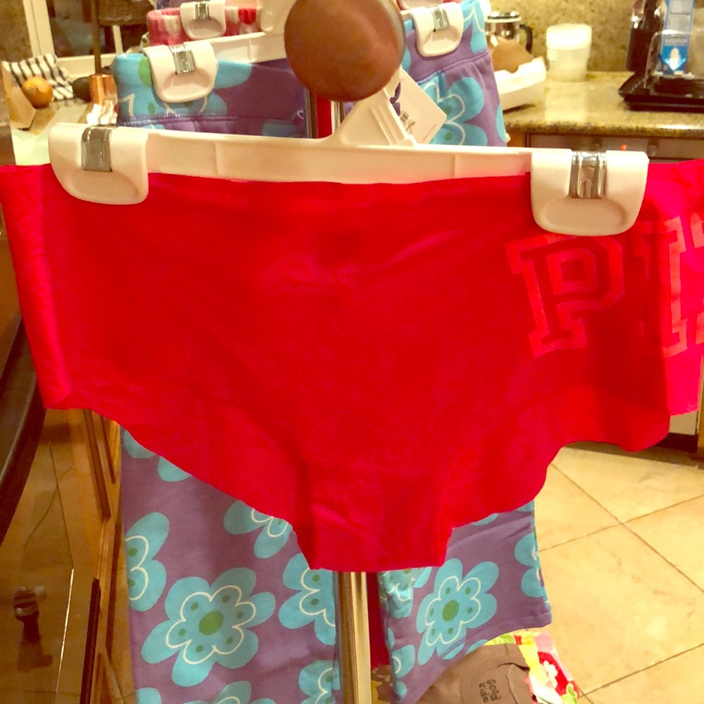 NWT PINK Victoria’s Secret Hipster Panties (Small)